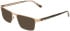Calvin Klein CK26113I sunglasses in Gold / Havana