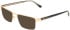 Calvin Klein CK26113I sunglasses in Gold / Black