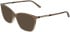 Calvin Klein CK26509 sunglasses in Transparent Gradient Brown