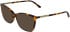 Calvin Klein CK26509 sunglasses in Havana