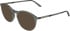 Calvin Klein CK26511 sunglasses in Transparent Gray