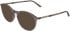 Calvin Klein CK26511 sunglasses in Transparent Taupe