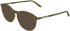 Calvin Klein CK26511 sunglasses in Transparent Khaki
