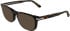 Calvin Klein CK26514 sunglasses in Dark Havana