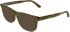 Calvin Klein CK26514 sunglasses in Transparent Olive