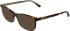 Calvin Klein CK26516-50 sunglasses in Havana