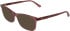 Calvin Klein CK26516-50 sunglasses in Transparent Burgundy