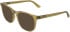 Calvin Klein CK26519 sunglasses in Transparent Honey