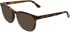 Calvin Klein CK26519 sunglasses in Havana