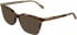 Calvin Klein CK26536 sunglasses in Havana