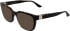 Calvin Klein CK26541 sunglasses in Dark Havana