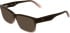 Calvin Klein CKJ26610 sunglasses in Transparent Gradient Brown/Ros