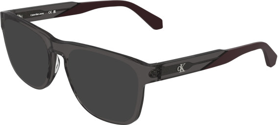 Calvin Klein CKJ26614 sunglasses in Transparent Grey