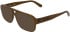 Calvin Klein CKJ26634 sunglasses in Transparent Brown