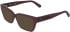 Calvin Klein CKJ26635 sunglasses in Transparent Wine