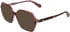Calvin Klein CKJ26639 sunglasses in Havana/Rose