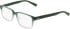 Nike 1001C glasses in Forest/Clear Gradient