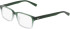 Nike 1001C glasses in Forest/Clear Gradient