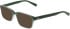 Nike 1001C sunglasses in Forest/Clear Gradient