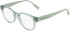 Converse CV5141 glasses in Crystal Thyme Again