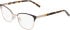 DKNY DK1041 glasses in Black/Champagne