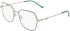 DKNY DK3010 glasses in Satin Silver