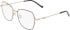 DKNY DK3010 glasses in Satin Champagne