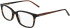 DKNY DK5008 N glasses in Dark Tortoise