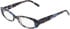 DKNY DK5086 glasses in Blue Tortoise