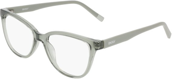 DKNY DK5089 glasses in Sage