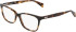 DKNY DK5097-50 glasses in Dark Tortoise