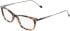 DKNY DK7015 glasses in Tokyo Tortoise