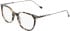DKNY DK7017 glasses in Bone Tortoise