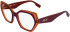 Karl Lagerfeld KL6229 glasses in Brown/Caramel