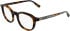 Karl Lagerfeld KL6235 glasses in Tortoise