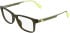 Lacoste L3665 glasses in Transparent Khaki