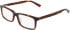 Marchon NYC M-3034 glasses in Tortoise