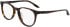 NIKE 5057 N glasses in Dark Tortoise