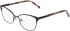 DKNY DK1041 glasses in Black