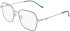 DKNY DK3010 glasses in Satin Silver