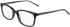 DKNY DK5008 N glasses in Black Tortoise