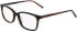 DKNY DK5008 N glasses in Dark Tortoise