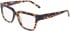 DKNY DK5087 glasses in Cobalt Tortoise