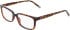 DKNY DK5088 glasses in Dark Tortoise