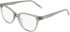 DKNY DK5089 glasses in Sage
