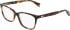 DKNY DK5097-50 glasses in Dark Tortoise
