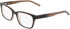 DKNY DK5102 glasses in Brown Tortoise