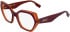 Karl Lagerfeld KL6229 glasses in Brown/Caramel