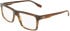 Karl Lagerfeld KL6278 glasses in Striped Brown