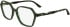 Lacoste L2988 glasses in Transparent Green